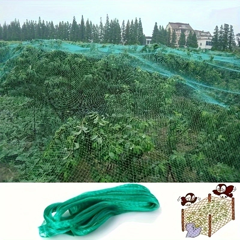 Green Color PE Extruded Bird Net For Fruit Trees Flowers