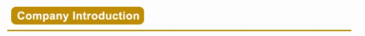 5-company introduction.jpg
