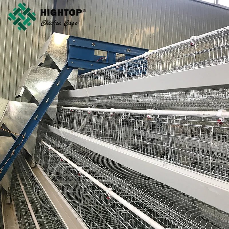 Factory Supply 500 Capacity Big Size Chicken Egg Layer Battery Cages