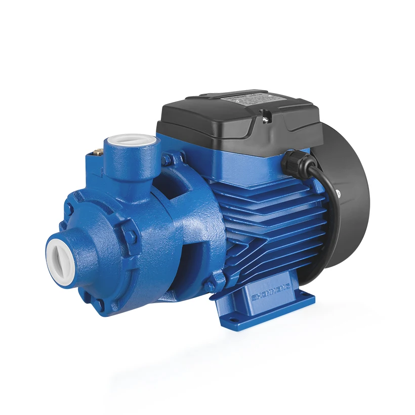 Производитель вихревого насоса для чистой воды, Маленький насос 0,5 л.с.