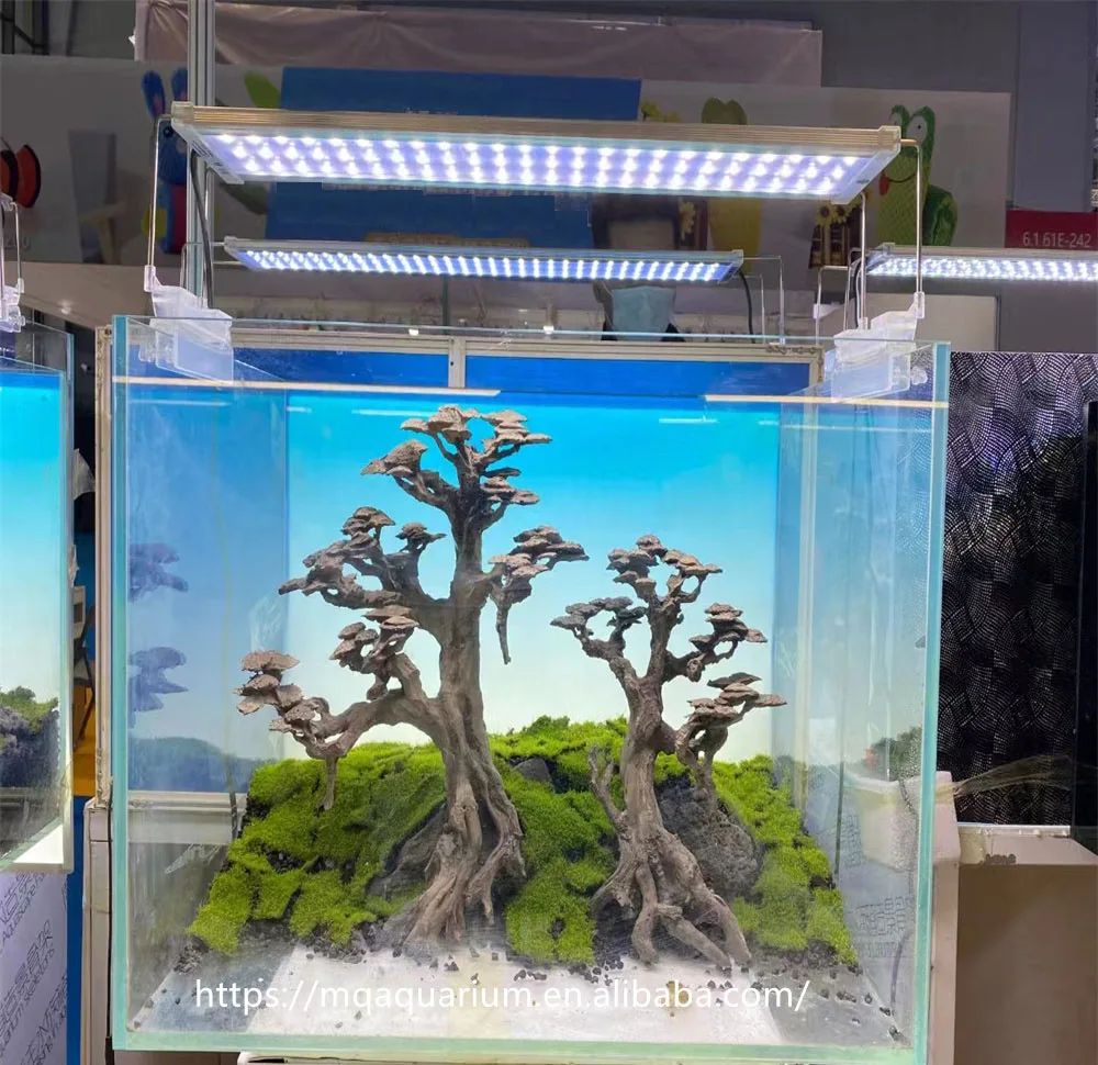 Natural drift bonsai Brazil tree branche roots driftwood aquarium wood for Aquascaping