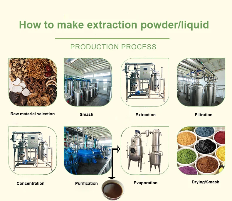 Stevia Extraction Machinery Concentrated Equipment Essential Oil Distiller