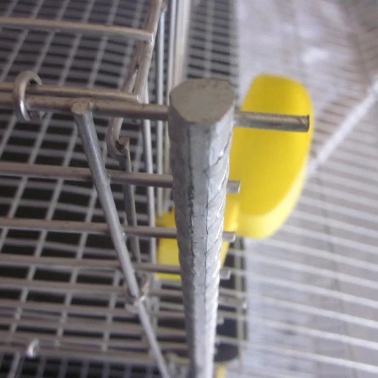 Automatic feeder system 6 layers H type quail layers cage for eggs