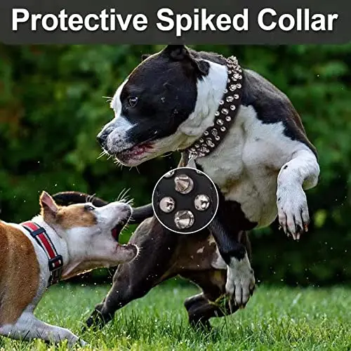 Spiked Dog Collar Soft Pu Leather Funny Mushrooms Rivet Spike Studded Puppy Adjustable Outdoor Dog Collars