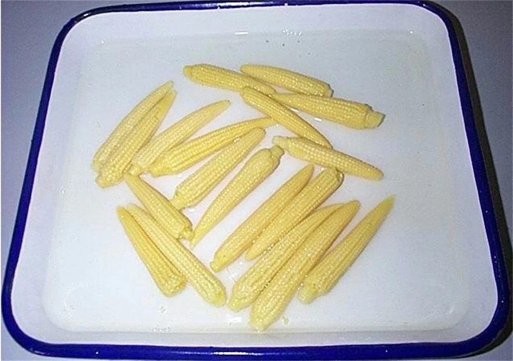 Water preservation young corn baby corn in cans with label