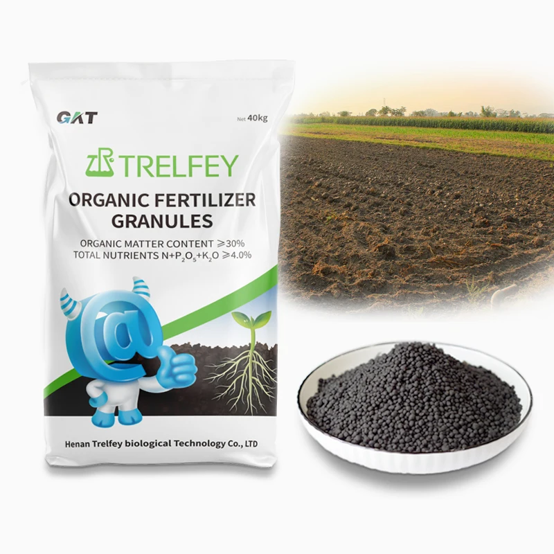 Black Granules Nutritious Plant Raw Fertilizers Agricultural Organic Fertilizer for Mango