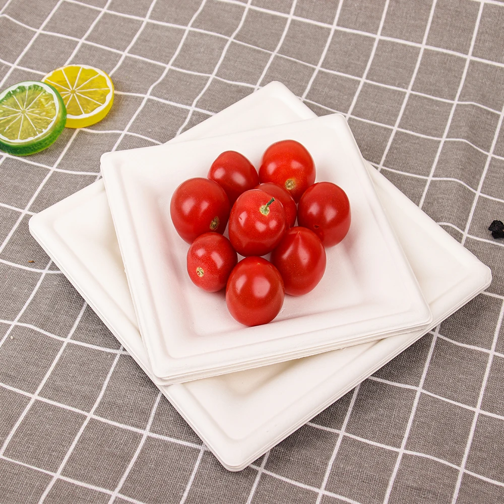 Free Samples disposable sugarcane tableware 9inch compostable bio degradable bagasse paper plate