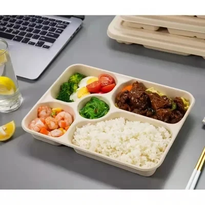 Disposable Square Plastic Food Delivery Container Container Biodegradable Corn Starch Storage Packaging Lunch Box