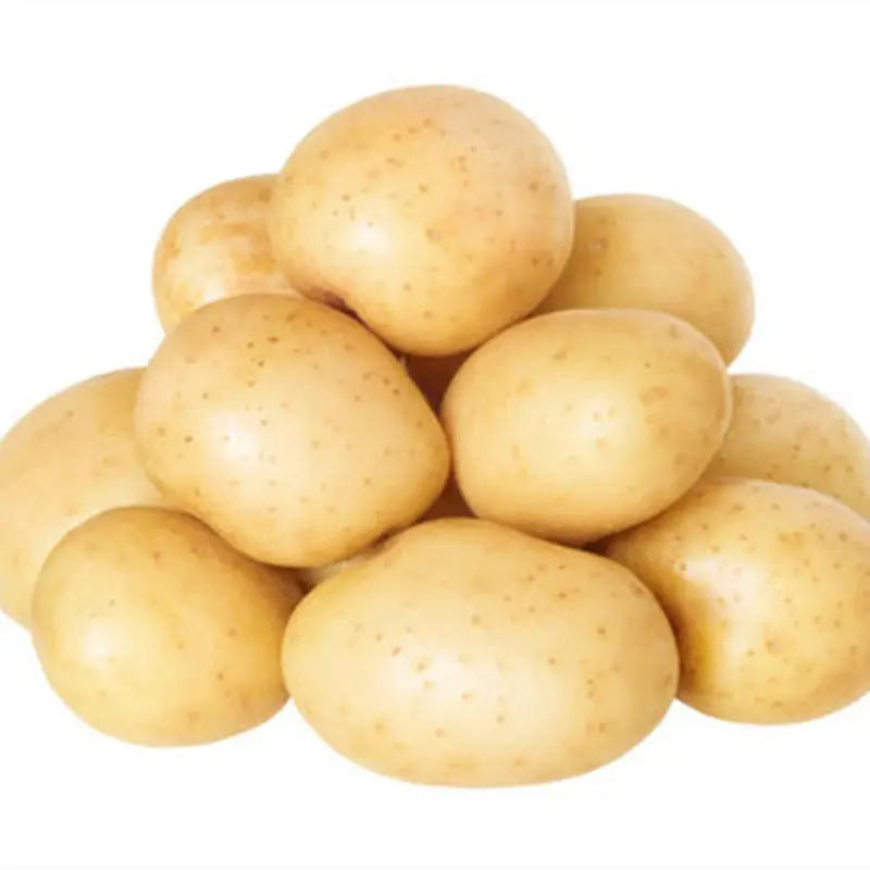 New crop farm fresh yellow potatoes/fresh yellow-brown potatoes