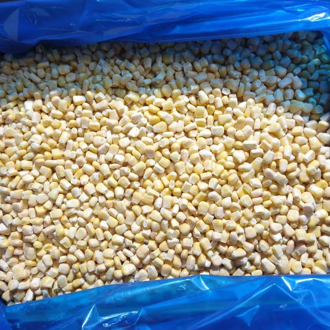 Certified Quality Professional Manufacture IQF Frozen Sweet Corn Frozen IQF Whole Kernel Sweet Corn