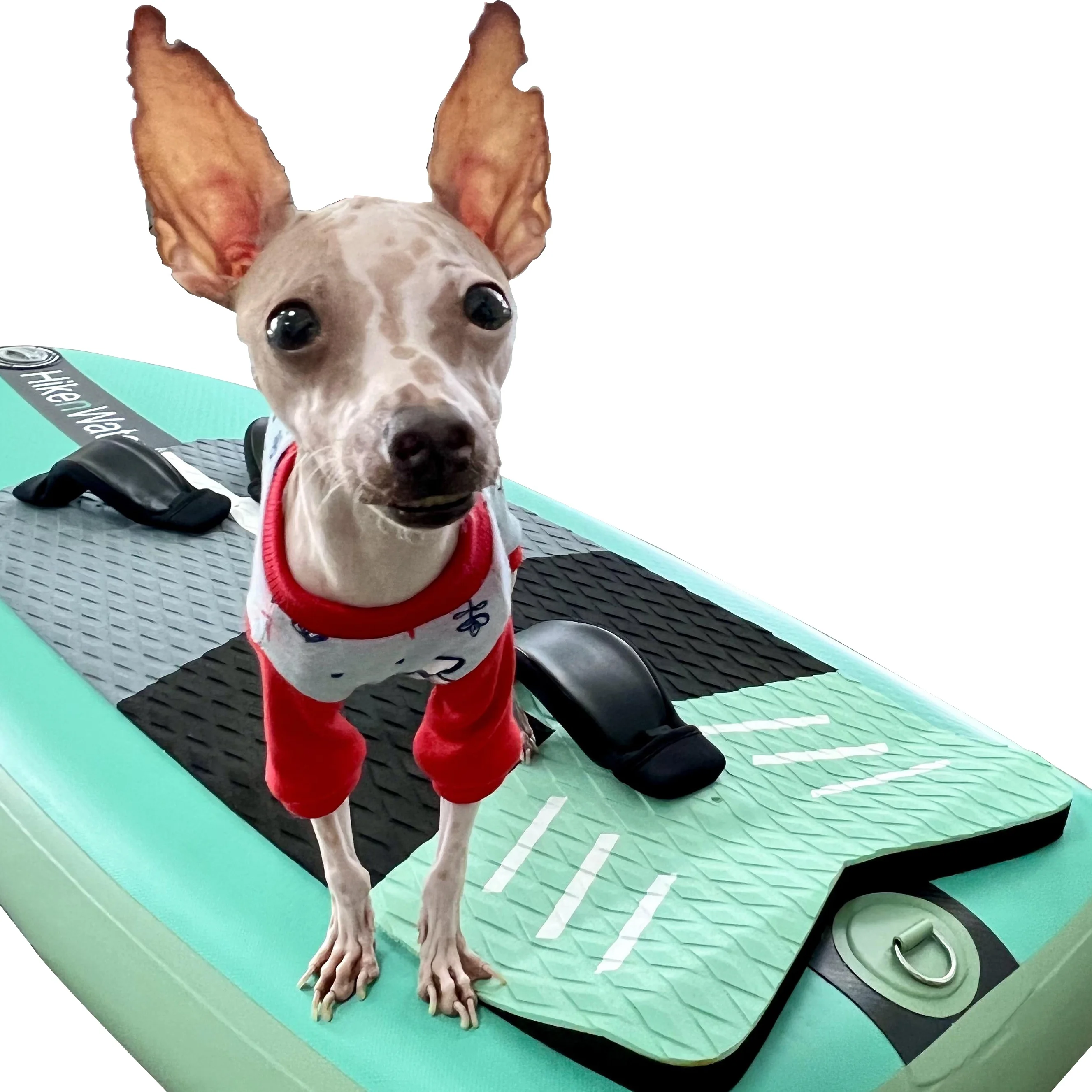 High quality water surfboard inflatable board  carbon fiber board SUP Foil Board