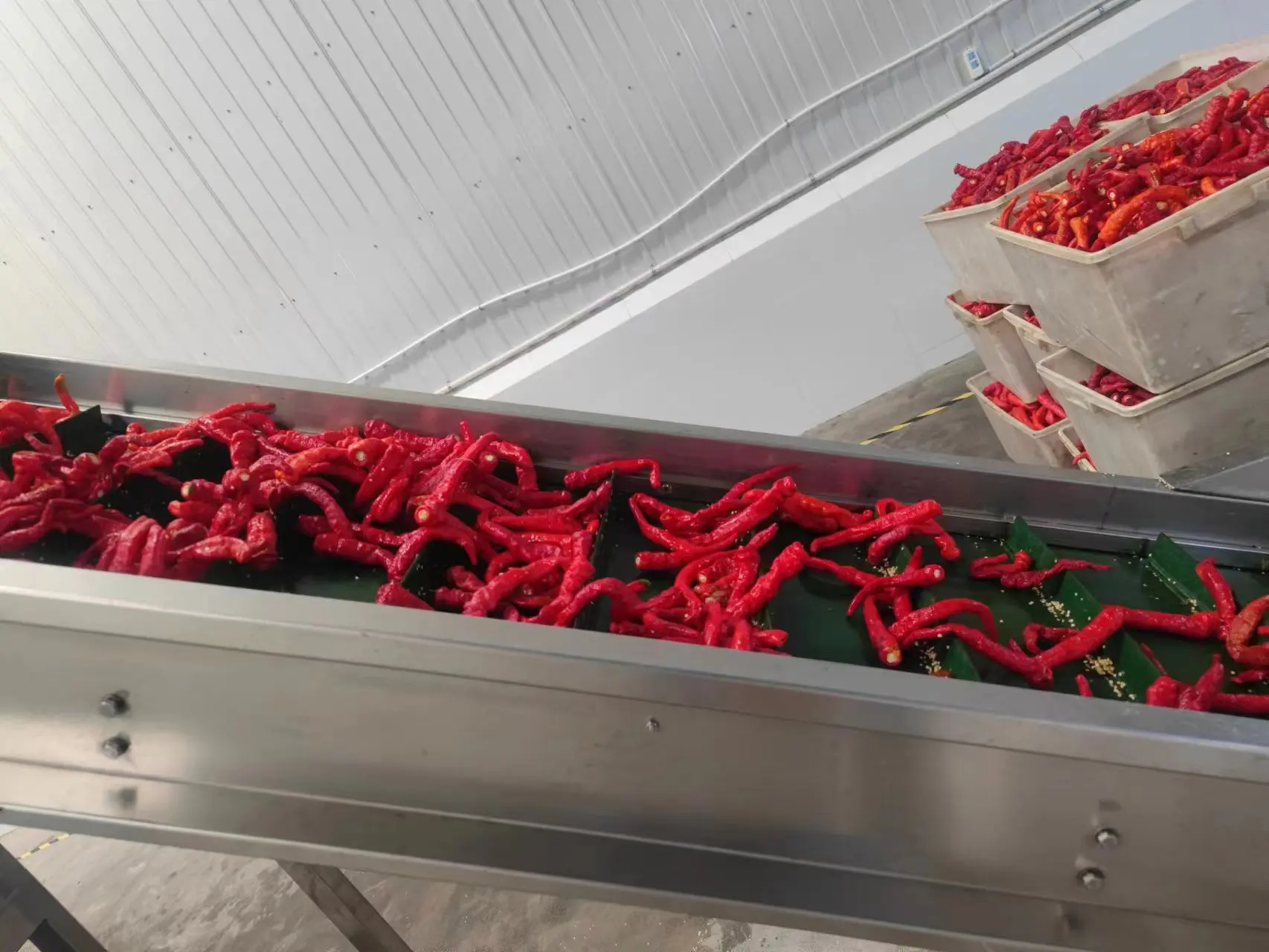 Hot Sauce Thick Chilli Sauce Harissa Special Flavour Sauce