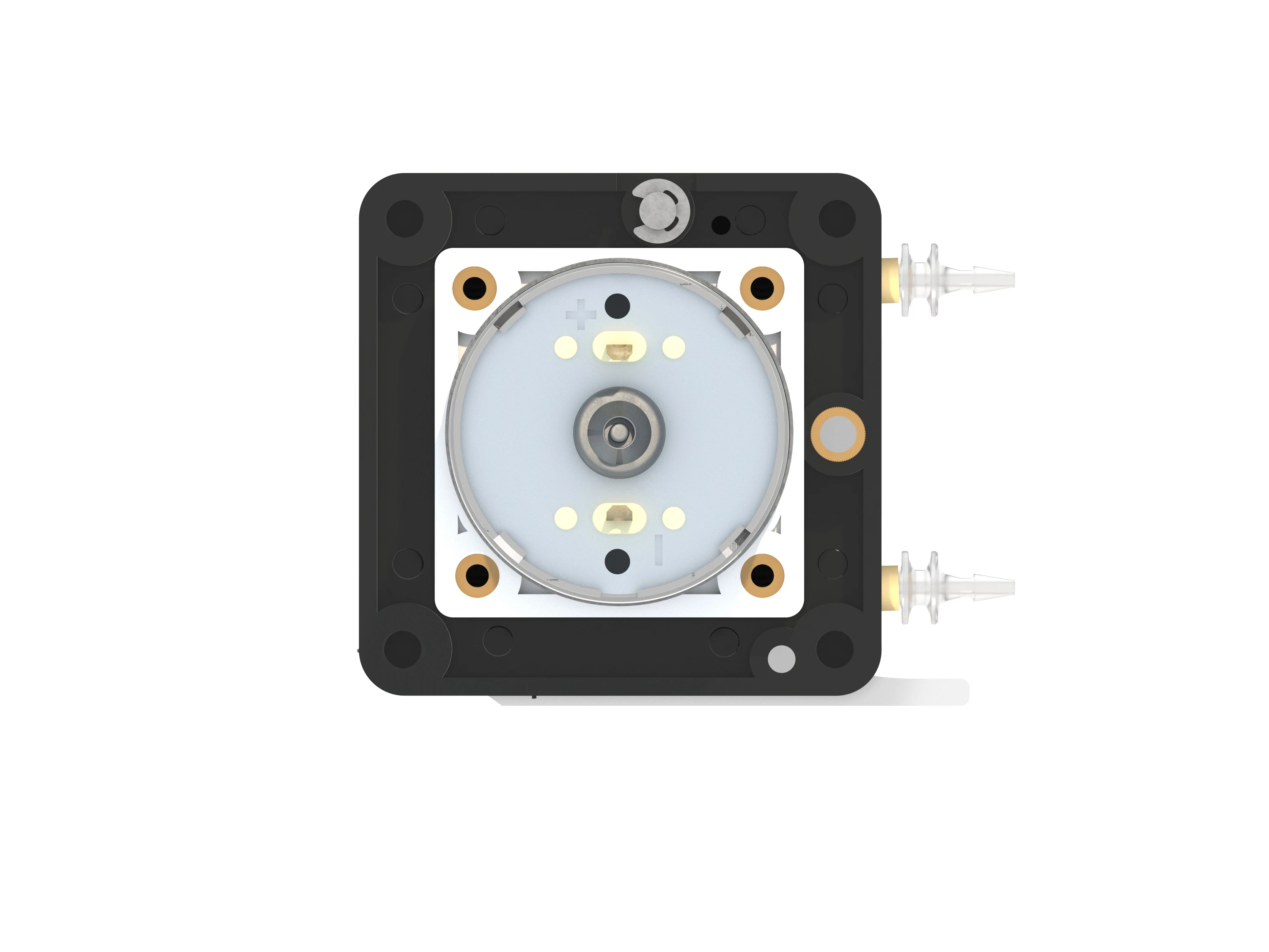 Runze 12V 24V DC Motor Peristaltic Pump For Micro Liquid Dosing OEM Customized Support