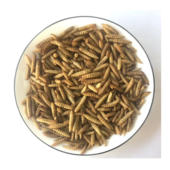 Dried Black Soldier Fly Larvae BSFL Dry Maggot Edible Bugs Animal Feed Additives