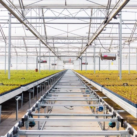 Agricultural movable seedbed ebb and flow rolling table greenhouse seedbed bench