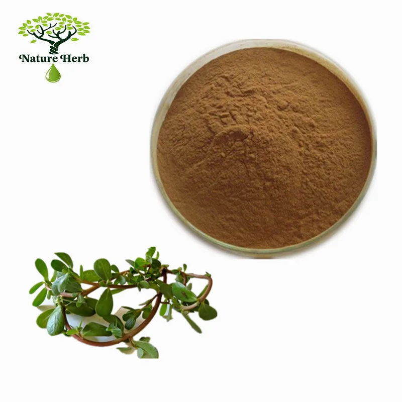 Pure Natural Herb Medicine Bacopa Monnieri Extract Powder