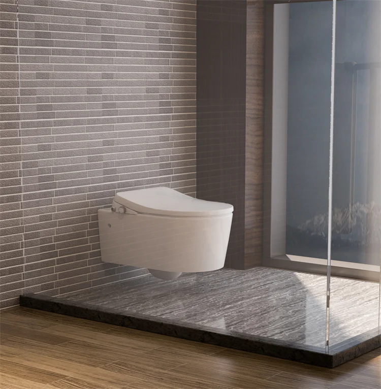 CUPC factory price for D shape electronic toilet seat cover with  light and warm seat   combined toilet and bidet for home