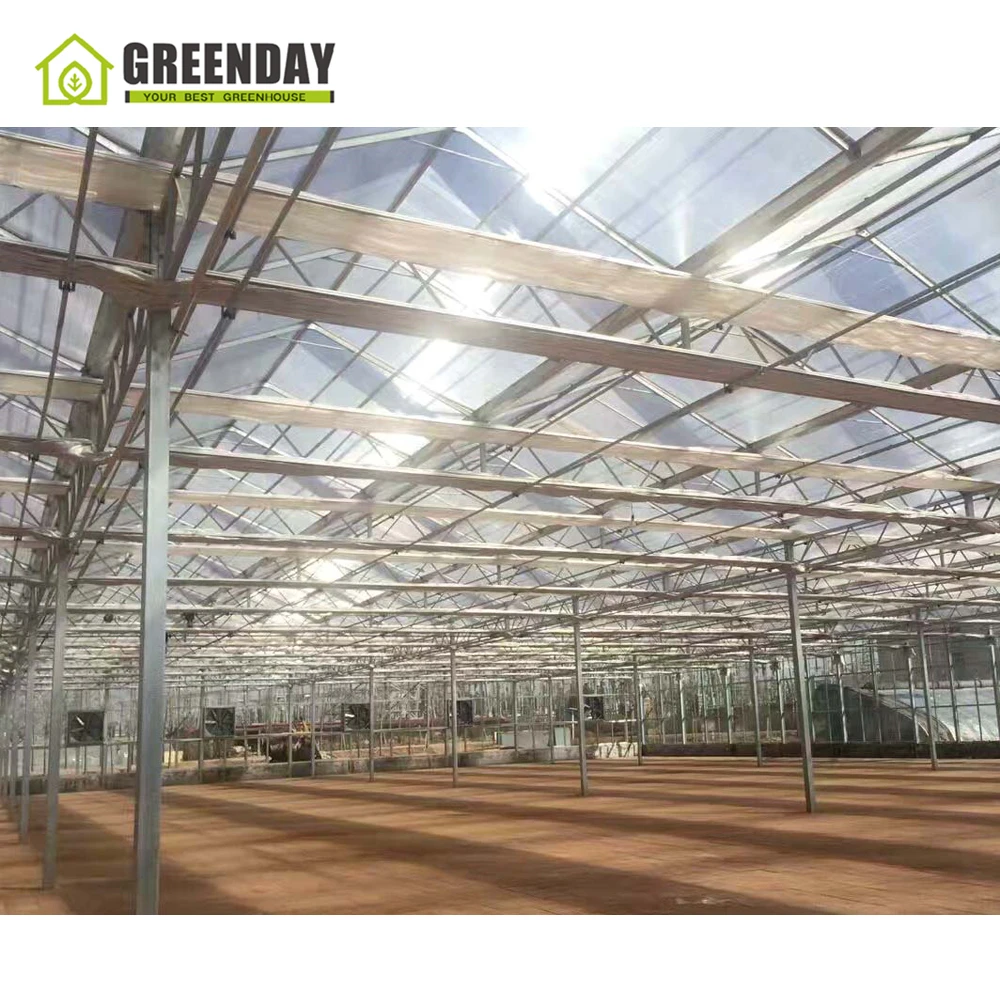 
GREENDAY UV protective polycarbonate garden greenhouse from China Guangzhou plastic 