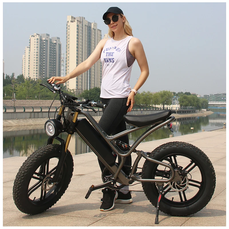 OEM 20 Inch 48V 750W Fat Tire Electric motorcycles Mountain dirt Bike Lithium Battery  hub motor  E-Bike Bicycle bike adult