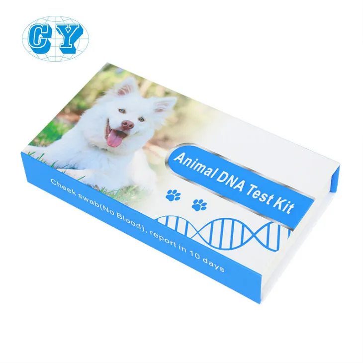 collection kit pet breed swab diagnostic dog testing pet mouth animal for test hemodialysis catheter