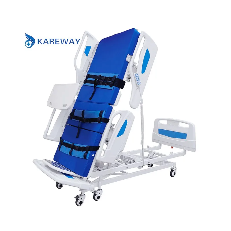 Professional Manufacture Cheap Price Wholesale Multi Function Elderly Electric Paralysis Patient Bed