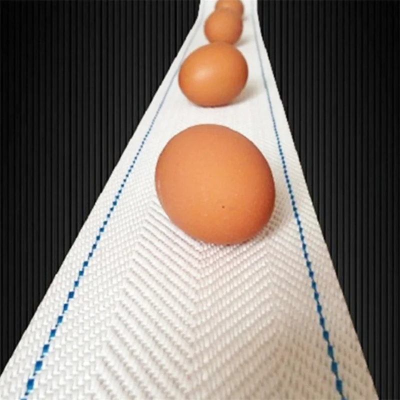 Popular Wholesale Egg Conveyor Belt for Automatic Egg Collecting System in Poultry Farm