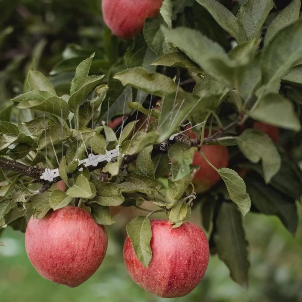Durable polycarbonate spikes with stainless steel spikes for bird management