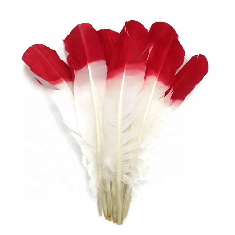 Оптовая продажа 10-12 дюймов перо из перьев индейки двухцветные крылья для карнавального костюма украшения головных убор