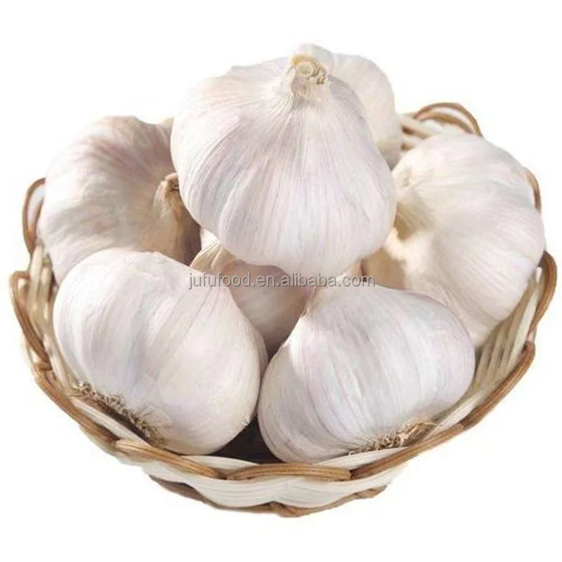 5.5 natural pure white garlic from laiwu shandong china