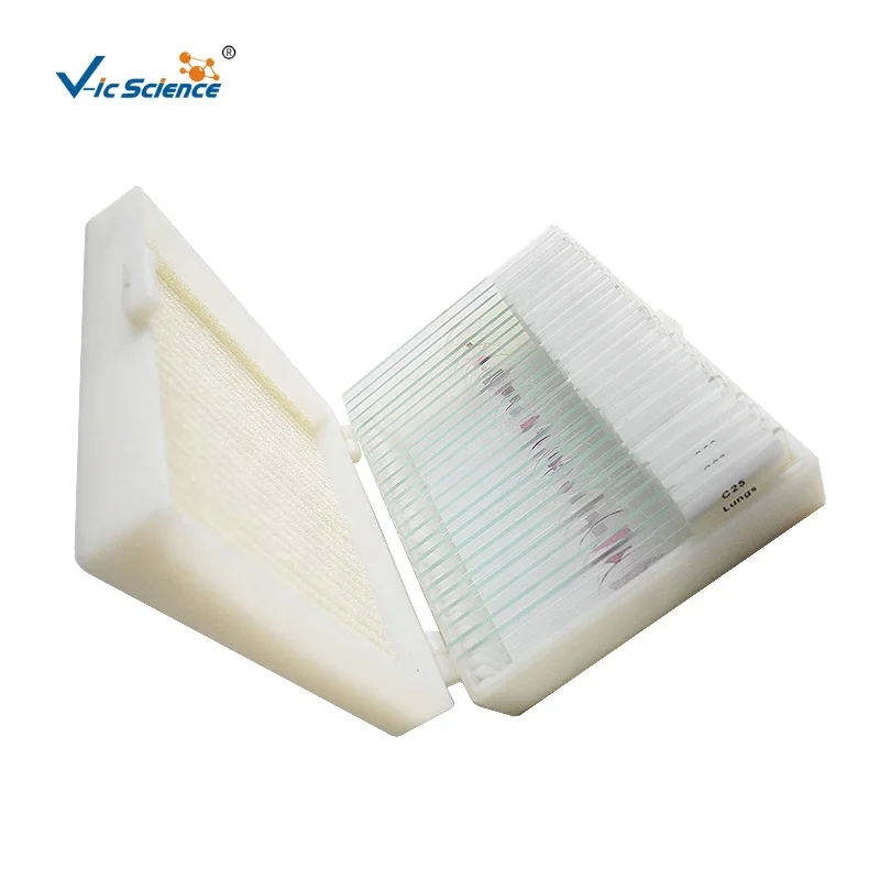 Medical science 17 kinds of Elementary primary and middle school level Indonesia biological microbiology prepared slides