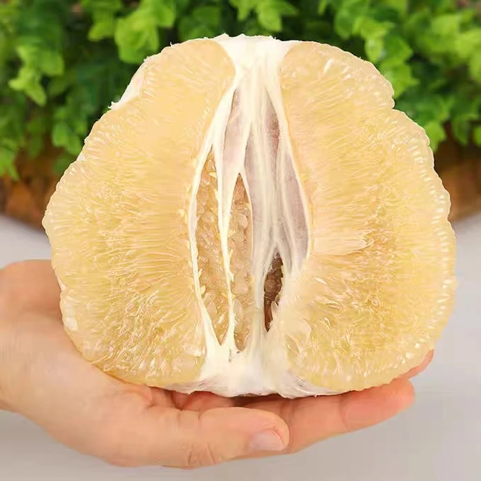 Chinazhangzhou honey pomelo grapefruit pomelo fruit freshly picked large pomelo Fresh
