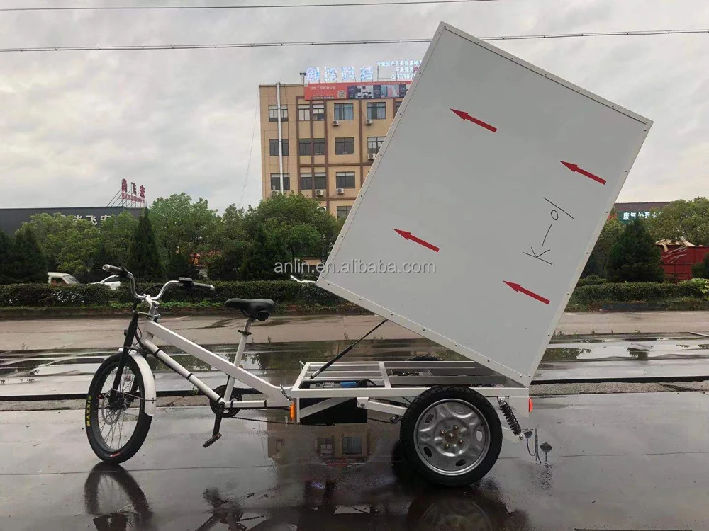 ESTER Cargo Tricycle on Sales Chinese Manufacturer Customized in 2017