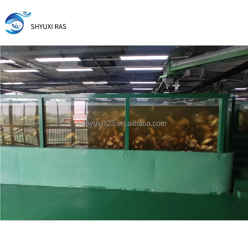 
SHYUXI RASIndoor circulating water breeding system water treatment machinery for indoor high density seawater prawn breeding 