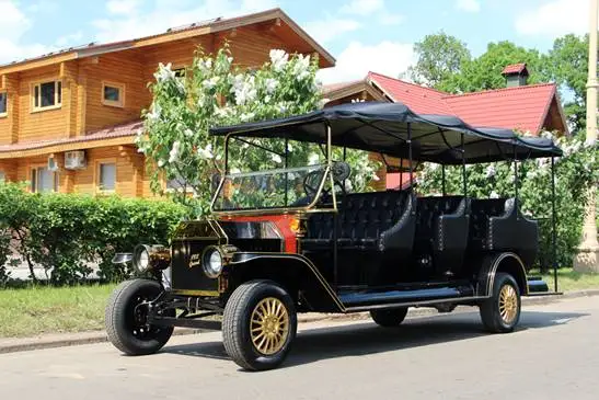Professional manufacturer of 1903 vintage car