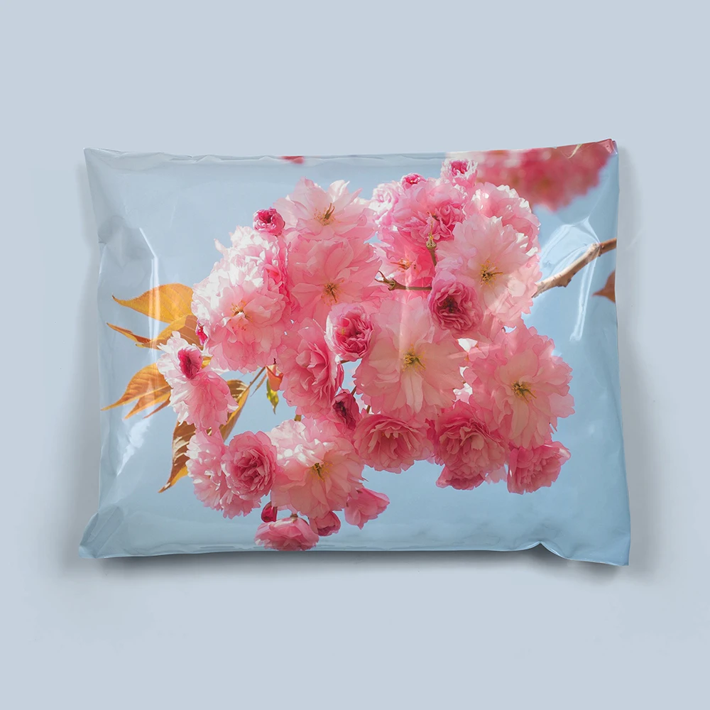 Tear-proof Waterproof No Smell mailer courier poly bag