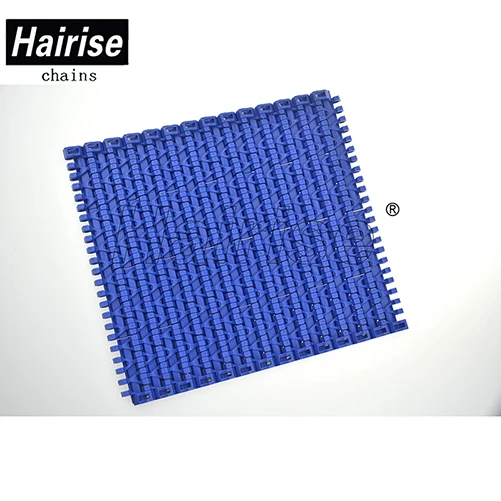 Manufacturer/producer of Hairise 1100 Series Plastic Flat Top Belt for Conveyor for Sale distributor wholesale price