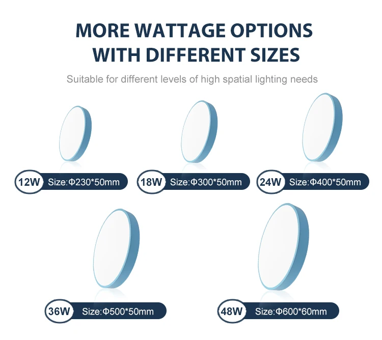 Ceiling light 8754  01.jpg