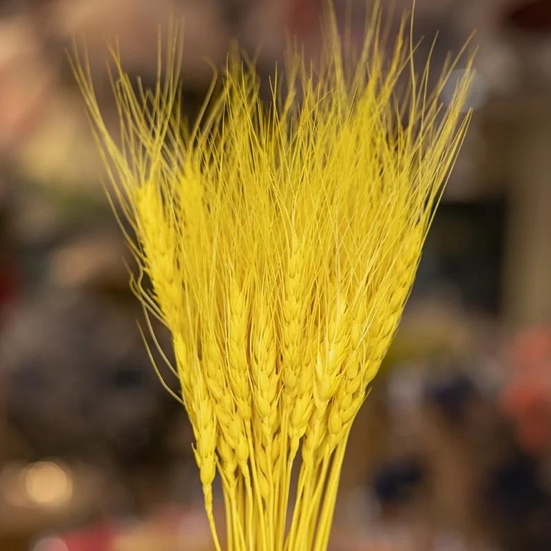 UKIQUEEN Dried Flowers Natural Bleached White Wheat Bunches Bouquet Sheaves Stalks Dried Wheat Stack Bundle