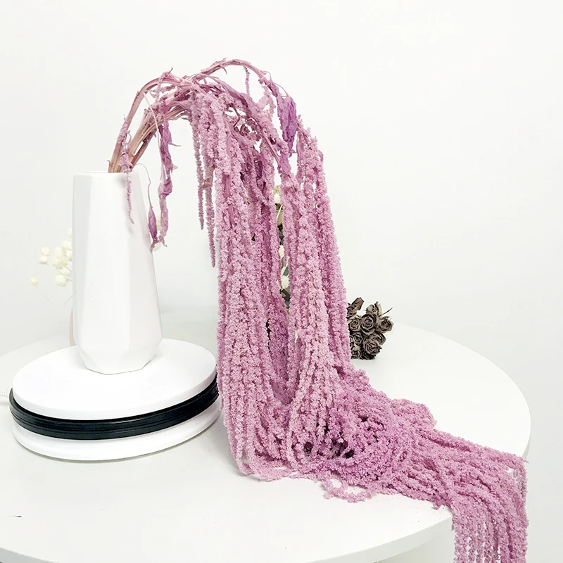 Home Wedding Decor Dried Flowers Decorative Amaranthus Real Natural Preserved Brown Hanging Amaranthus For Flower Arrangement