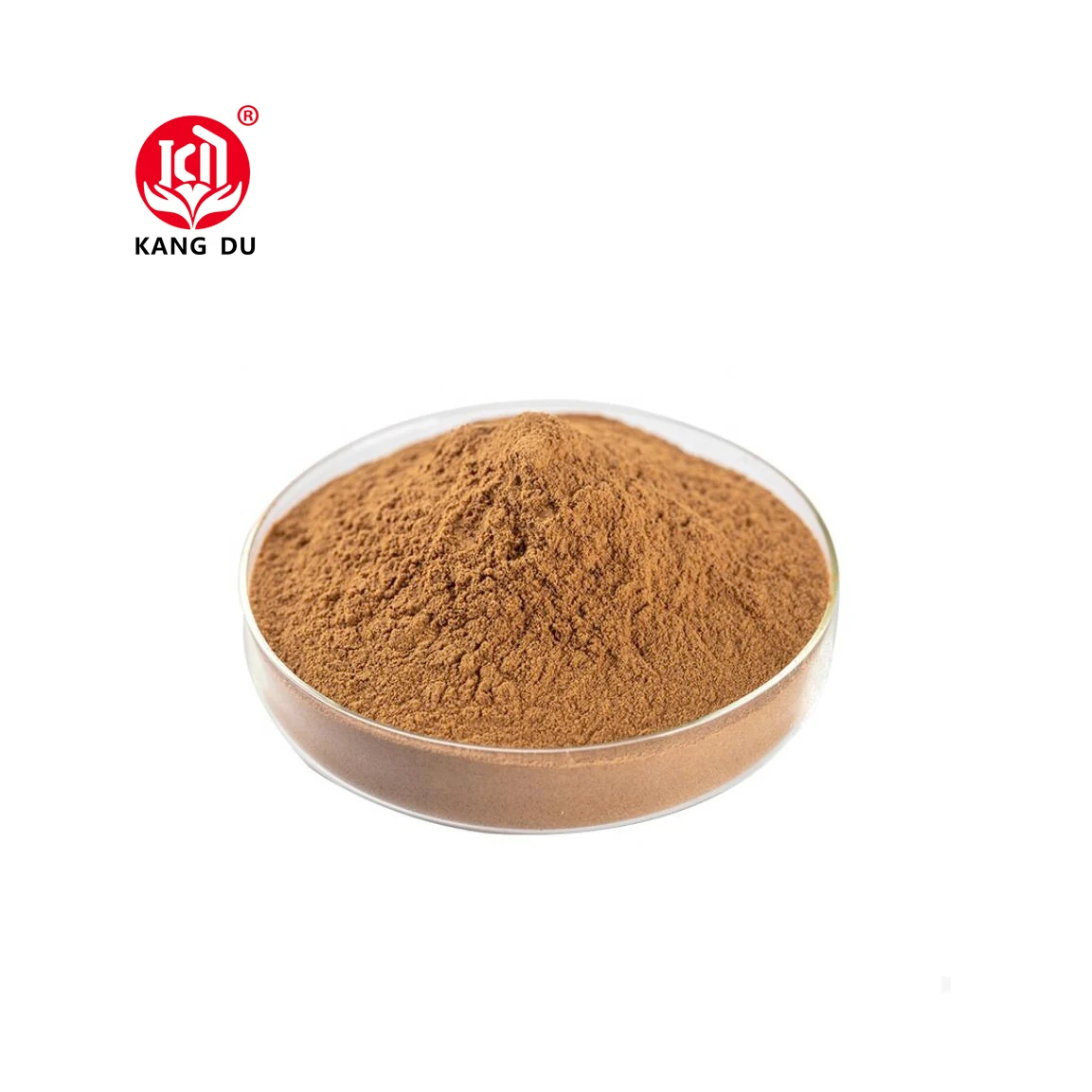 Plant Extract Terminalia Chebula Extract Powder 10:1 powder
