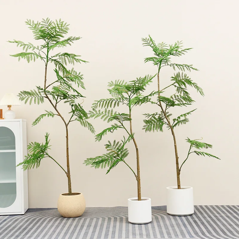 plants00