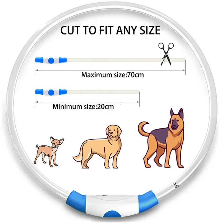 2024 New Usb rechargeable LED illuminates dog pet collar Personalized collar customized dog products