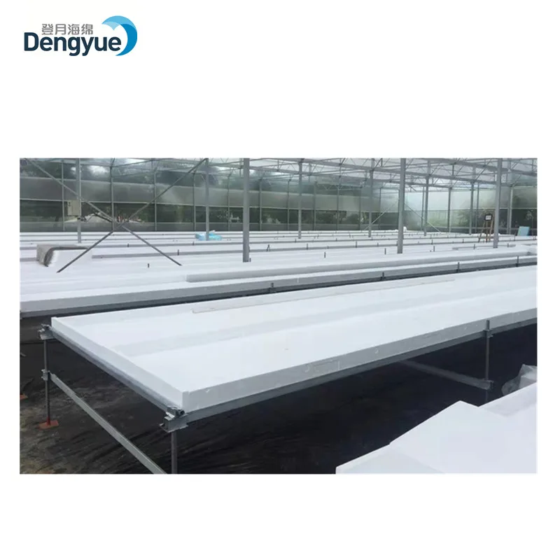 Eco-friendly 72 cell nontoxic greenhouse farm EPS manufacturer hydroponic seed tray
