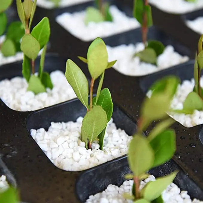 agricultural perlite farm planting perlite vermiculite perlite 3-6mm