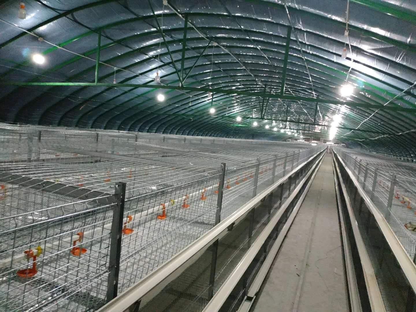 Automatic chicken feeding cage    H Frame Chicken Coop