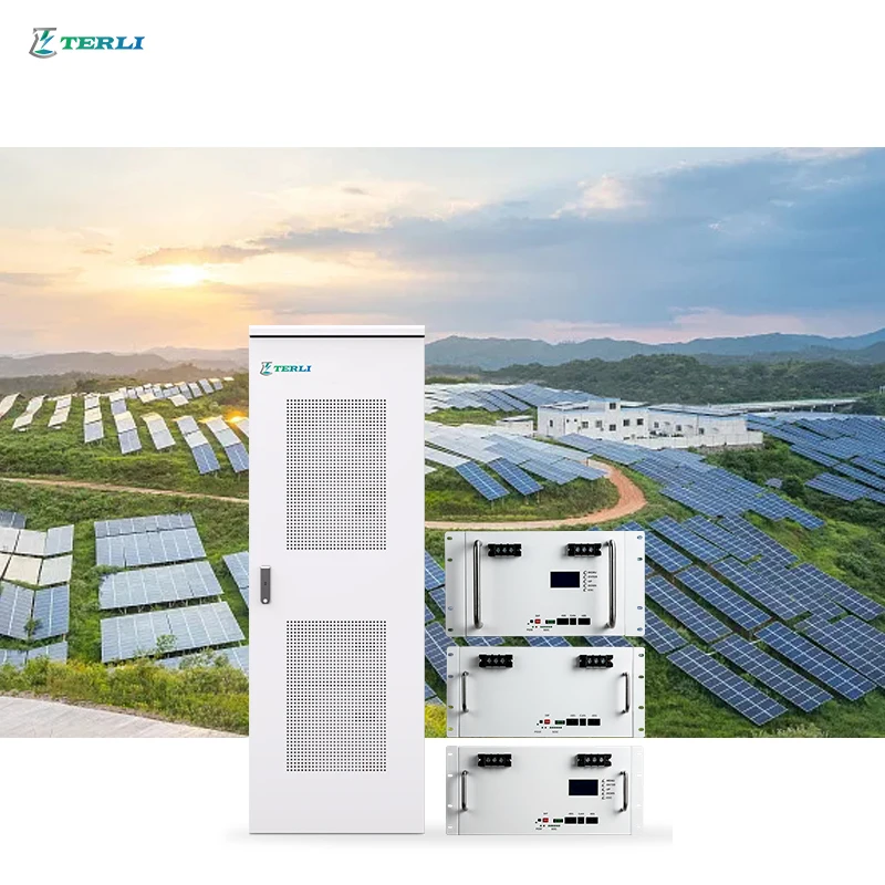 Terli Deep Cycle Long Life Lifepo4 Server Rack Battery 48v 100ah 200ah Lituium Ion Battery