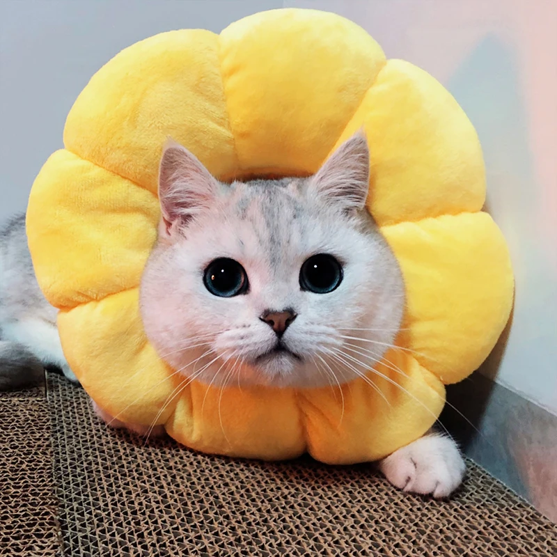Cotton filled sunflower Elizabethan circle cat anti-lick anti-bite collar pet supplies and