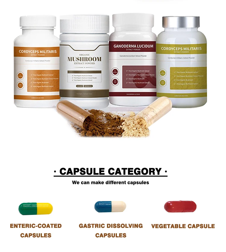 Customized Pure Mushroom monkey head mushroom Capsules hericium erinaceus Capsules Lions Mane Mushroom Capsules