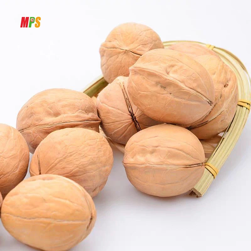 Оптовая продажа высококачественные вкусные закуски сушеные тонкокожие грецкие орехи в скорлупе поставщик