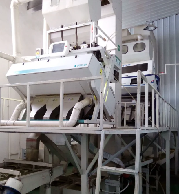 online all kinds organic non gmo hybrid dried white pumpkin seed seeds turkey price